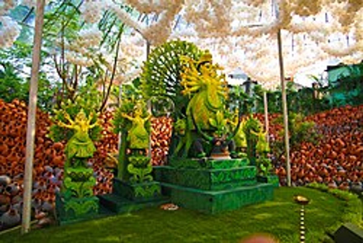 Angha Ashar