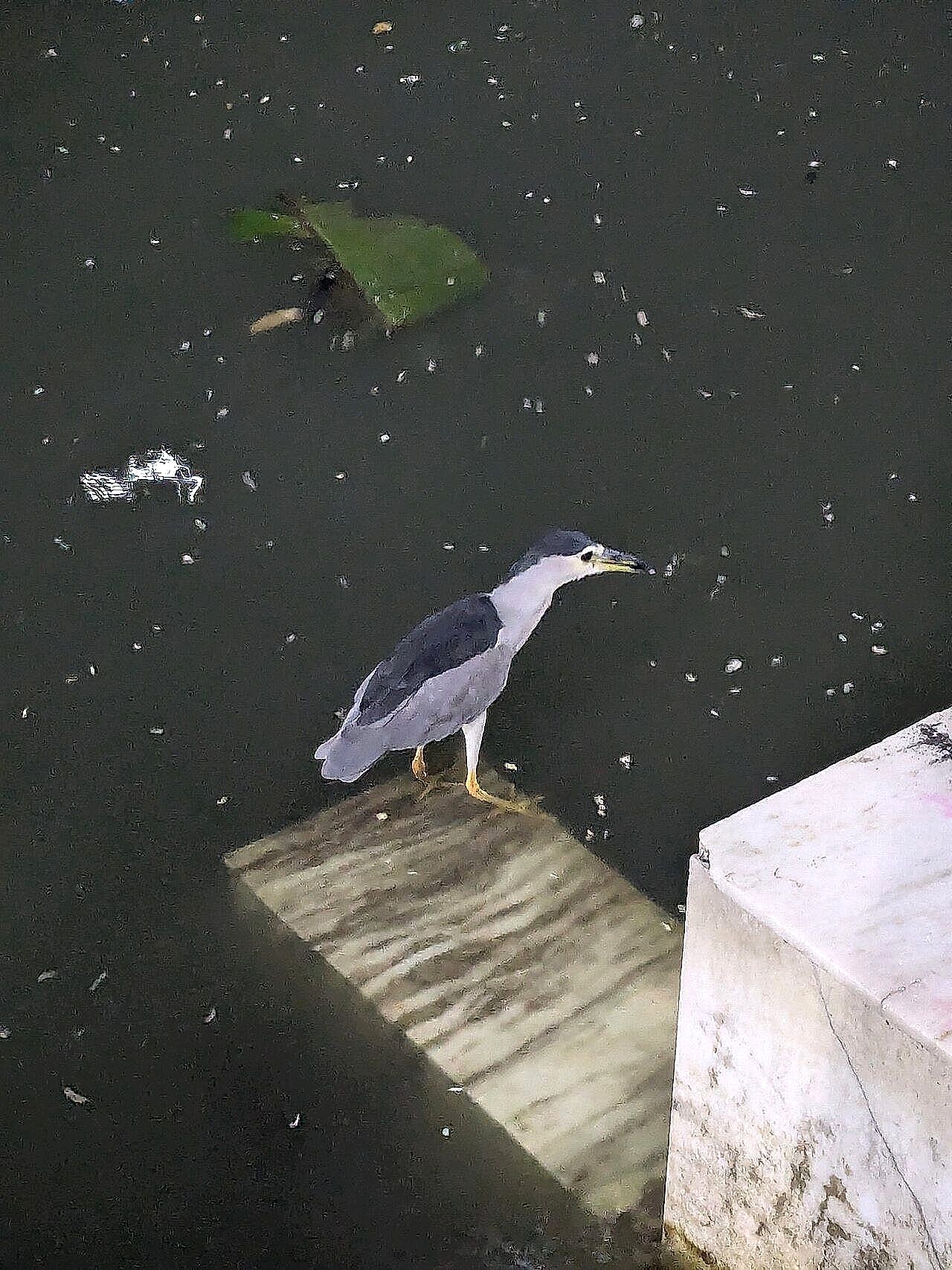 Water painting